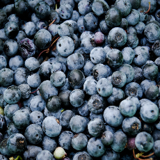 dinner